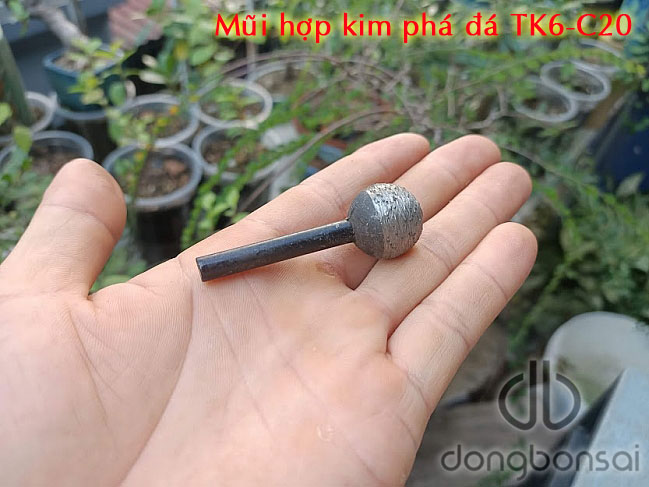 Mũi hợp kim phá đáTK6-C20