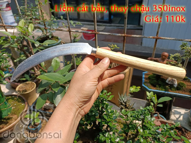 Liềm xén bầu, cắt rễ bonsai 350inox