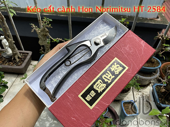 Kéo cắt cành Hon Norimitsu HT-2584