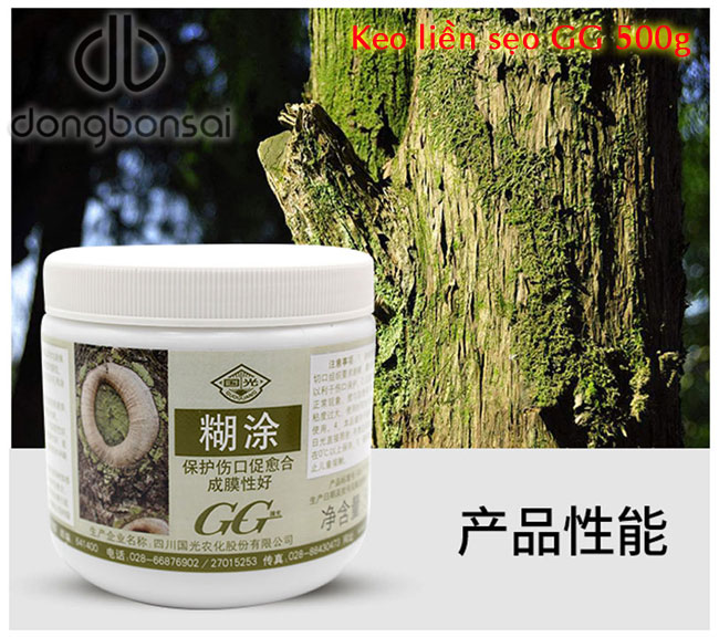 Keo liền sẹo GG 500g