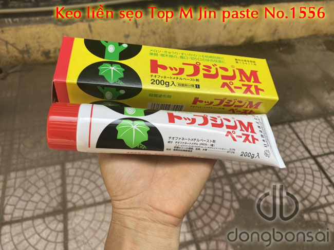 Keo Top M Jin Paste No.1556