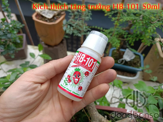 Dung dịch kích thích tăng trưởng HB-101 50ml