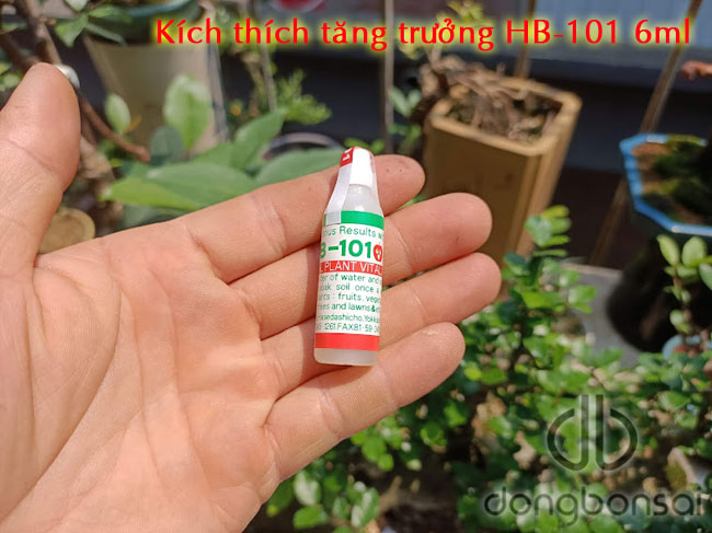 Dung dịch kích thích tăng trưởng HB-101 6ml