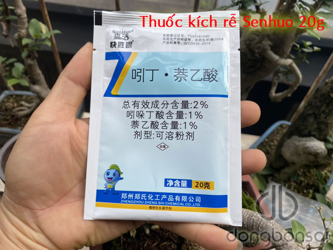 Kích thích ra rễ Senhuo 20g