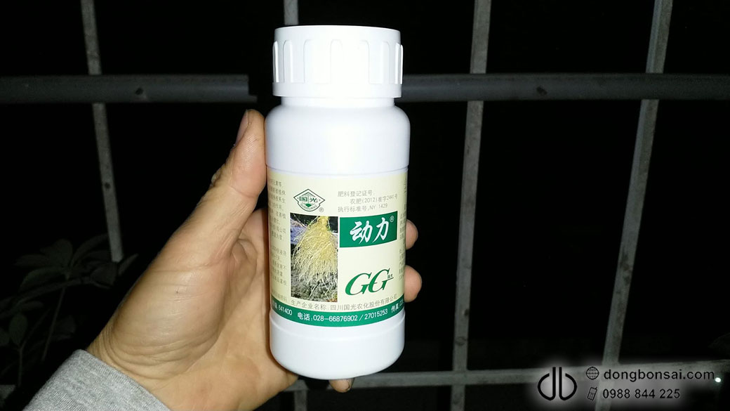 Thuốc kích rễ GG 200ml