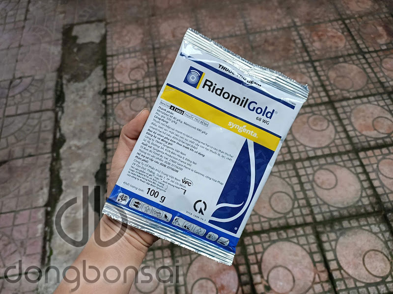 Thuốc trừ nấm Ridomil Gold 68WG