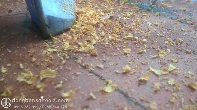Cận cảnh mảnh bào