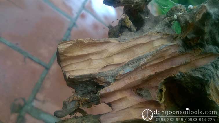 Vết phá trên lũa Linh Sam